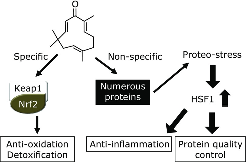 Fig. 7