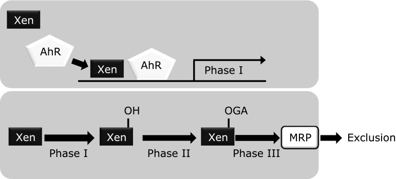 Fig. 2