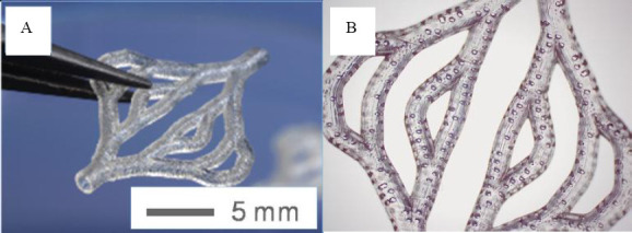 Figure 15