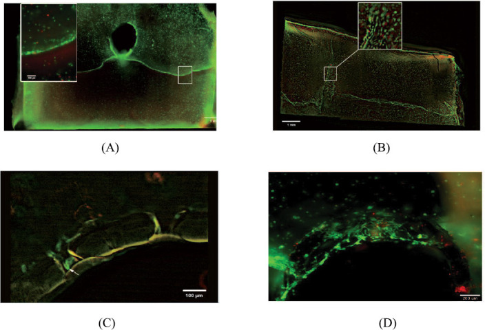 Figure 17