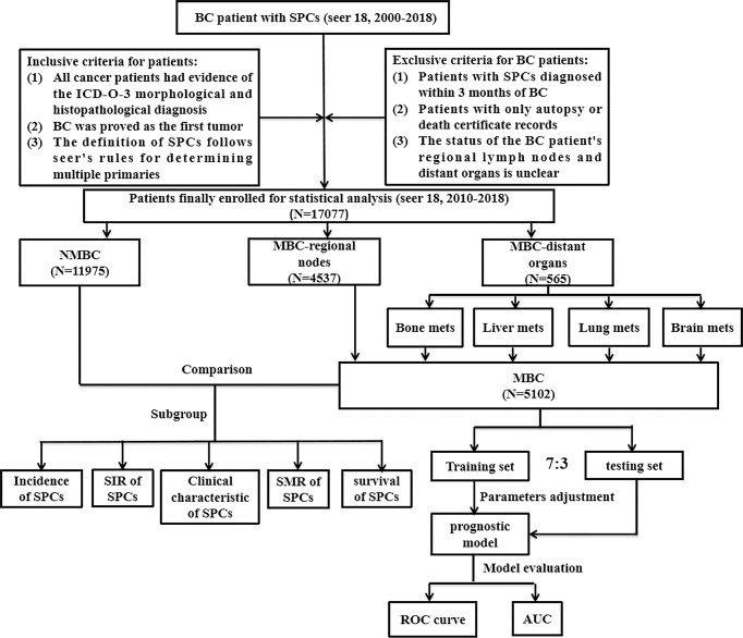 Figure 1