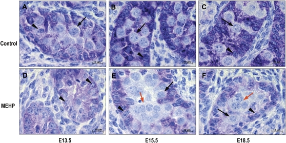 FIG. 6.