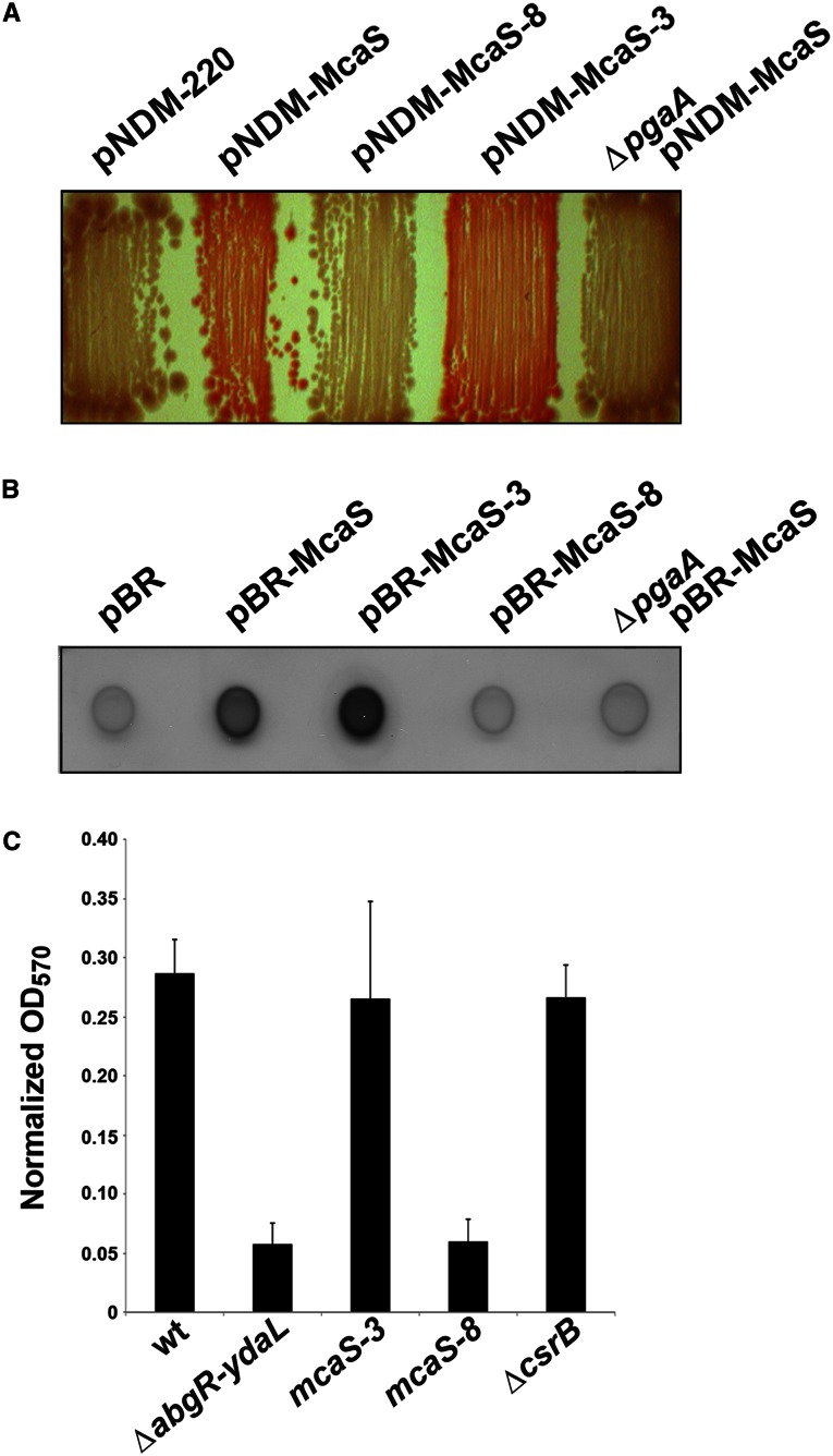 Figure 6.