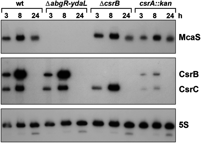 Figure 7.