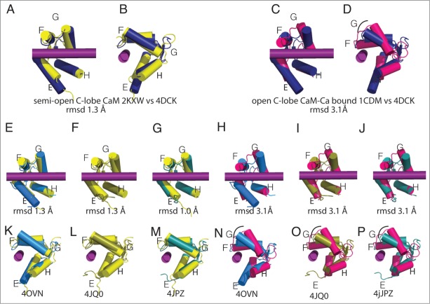 Figure 5.