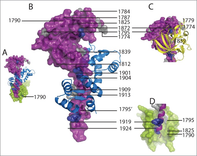 Figure 7.