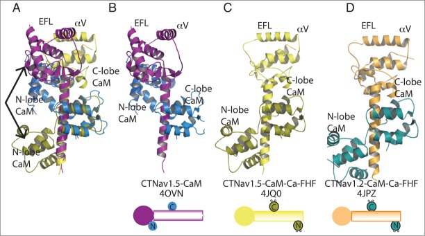 Figure 3.