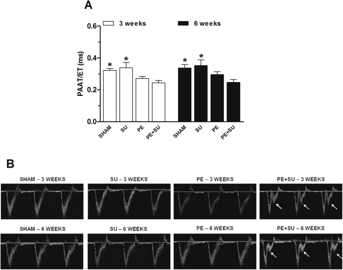 Supplemental Figure S1