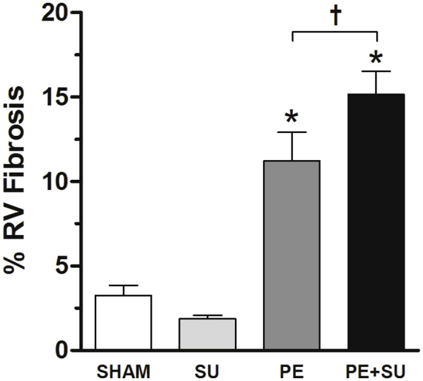 Supplemental Figure S4