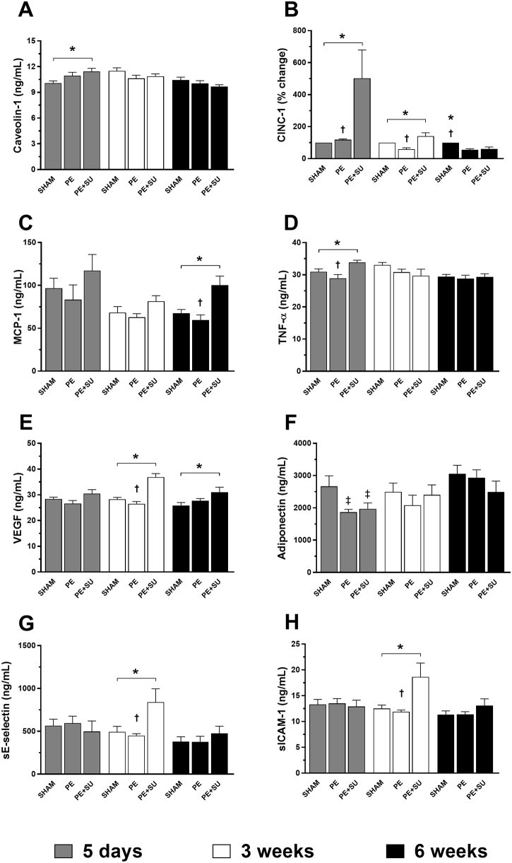 Supplemental Figure S3