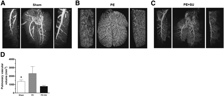 Figure 7