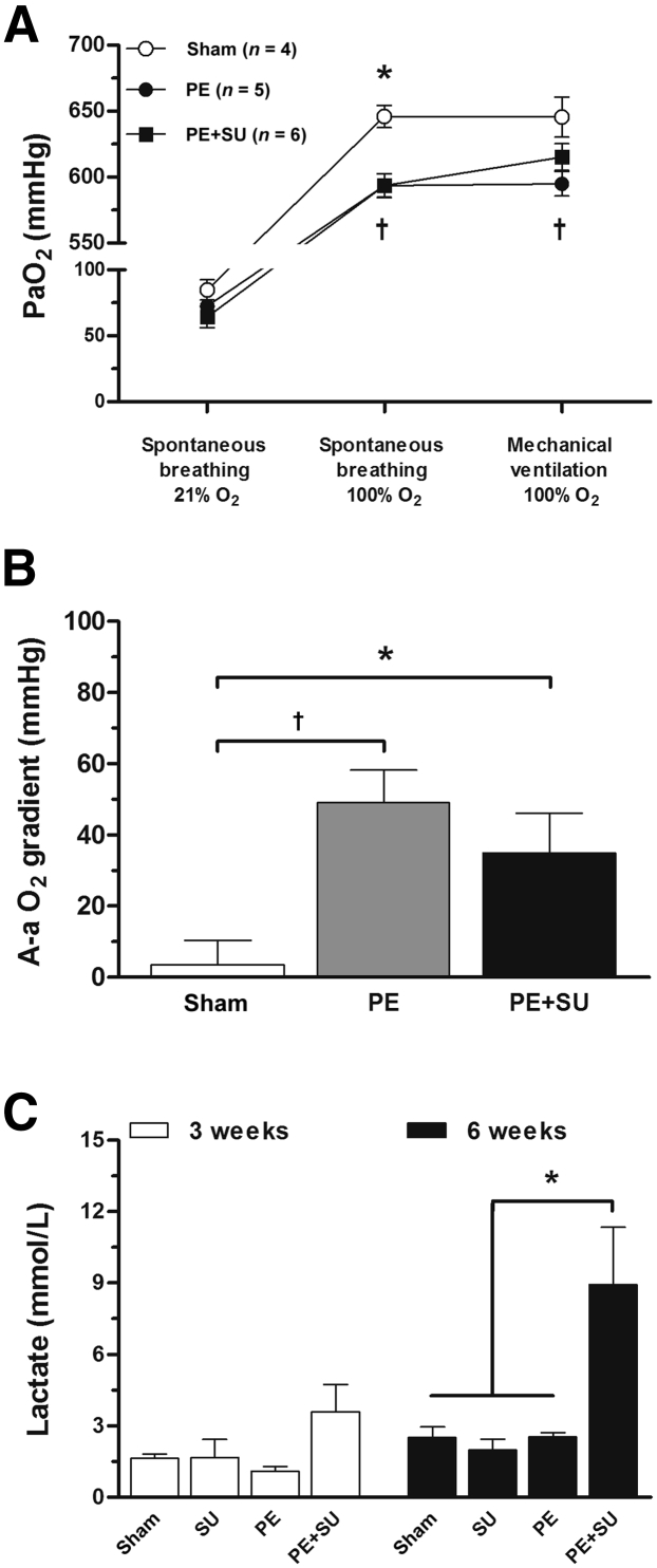 Figure 5