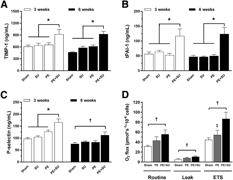 Figure 6