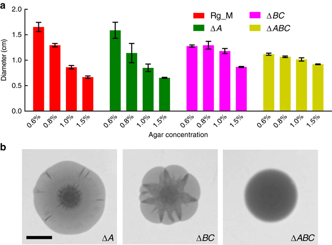 Fig. 3