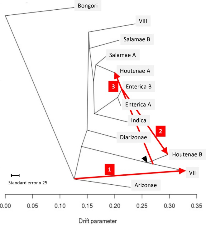 Fig. 5.