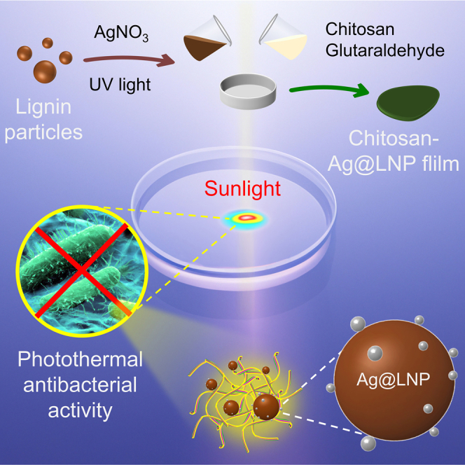 graphic file with name fx1.jpg