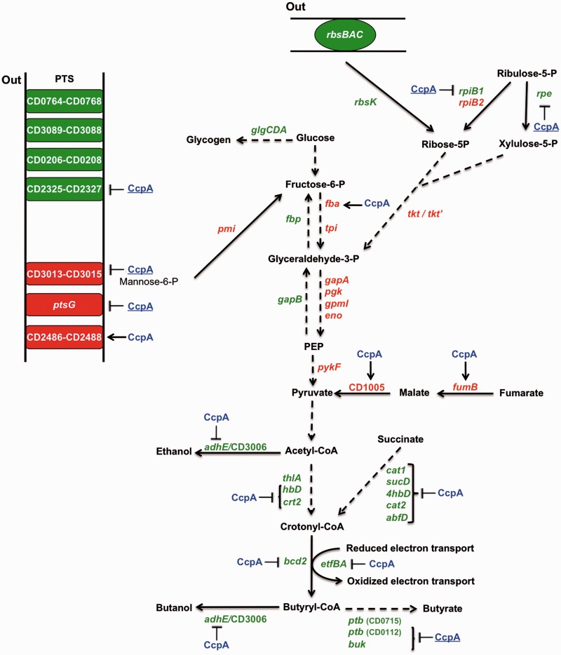 Figure 5.