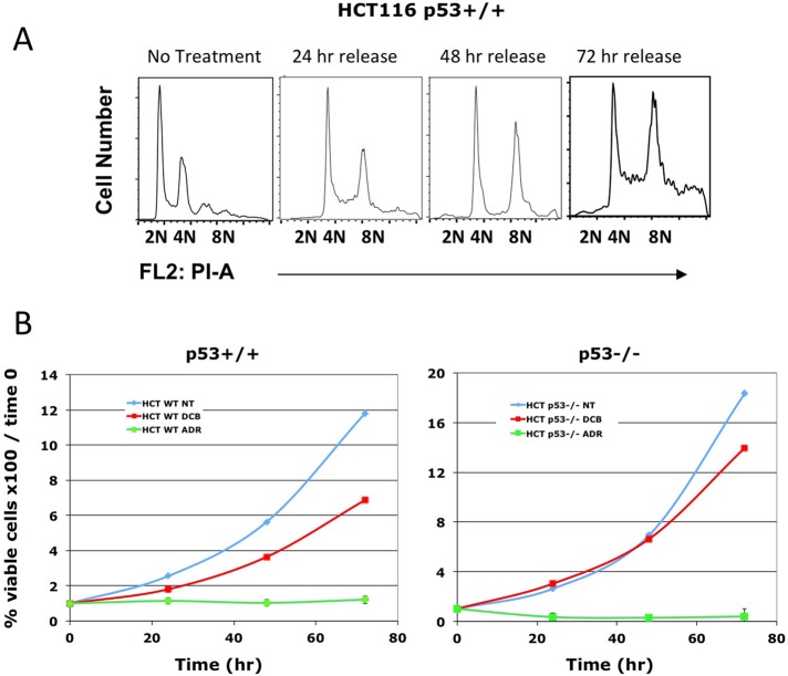 FIGURE 9: