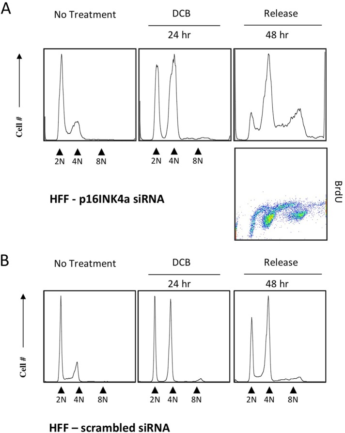 FIGURE 10: