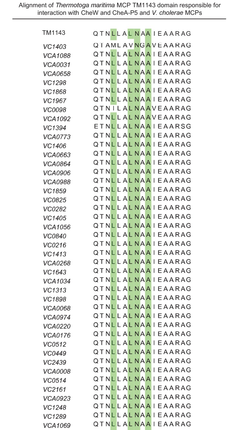 Figure 2—figure supplement 3.