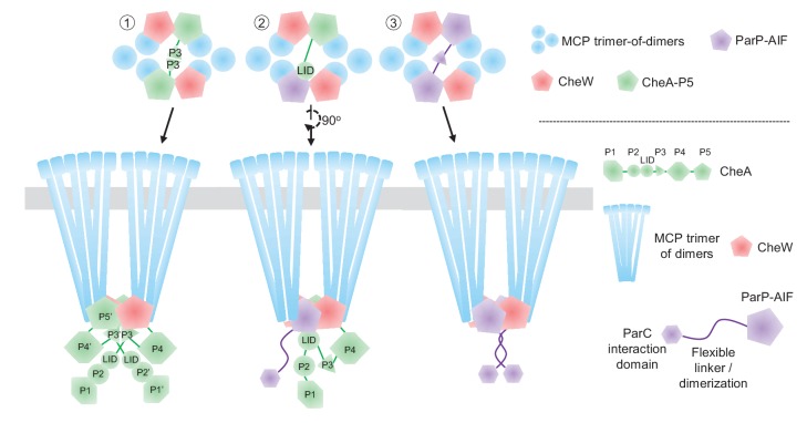 Figure 9.