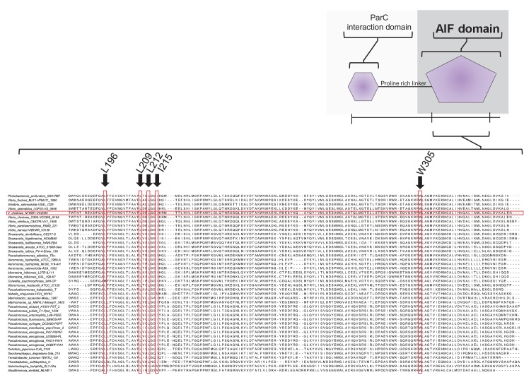 Figure 3—figure supplement 2.