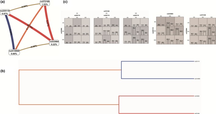 Figure 5