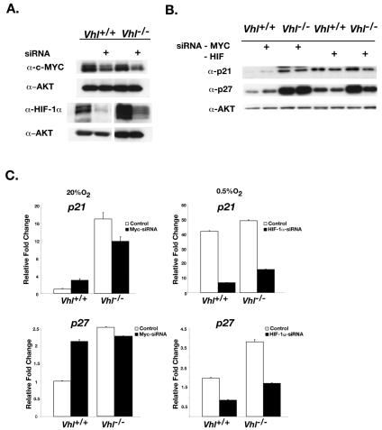 FIG. 9.