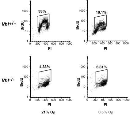 FIG. 5.