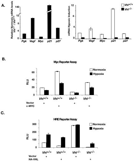 FIG. 8.