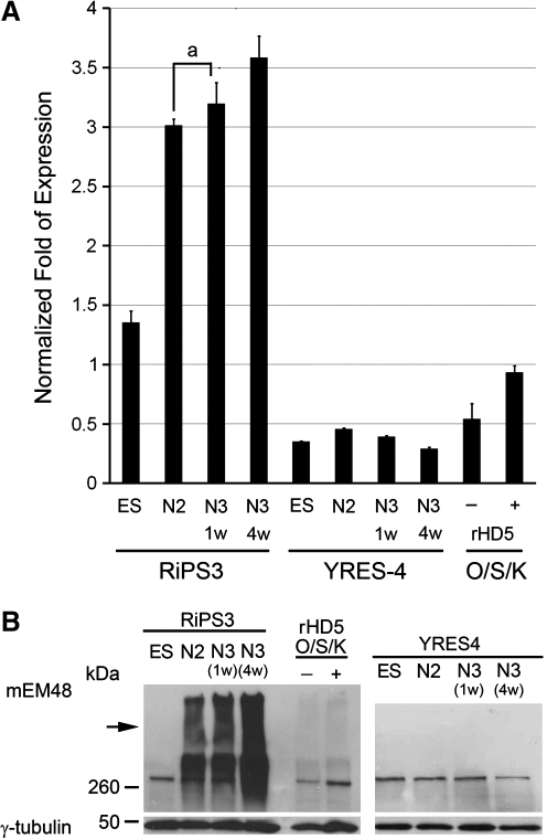 FIG. 4.