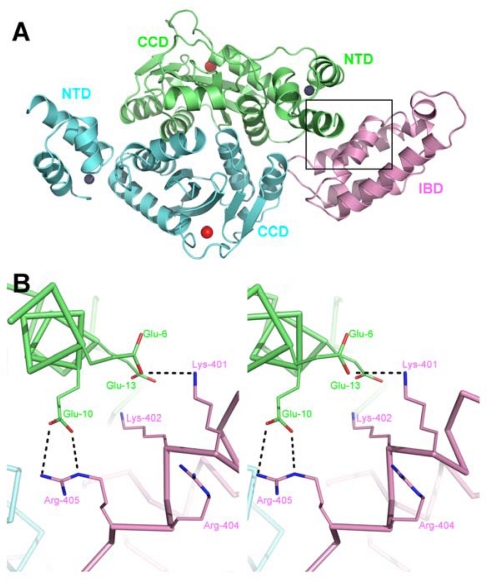 Figure 5.