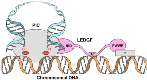 Figure 2.