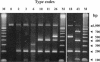 FIG. 1.