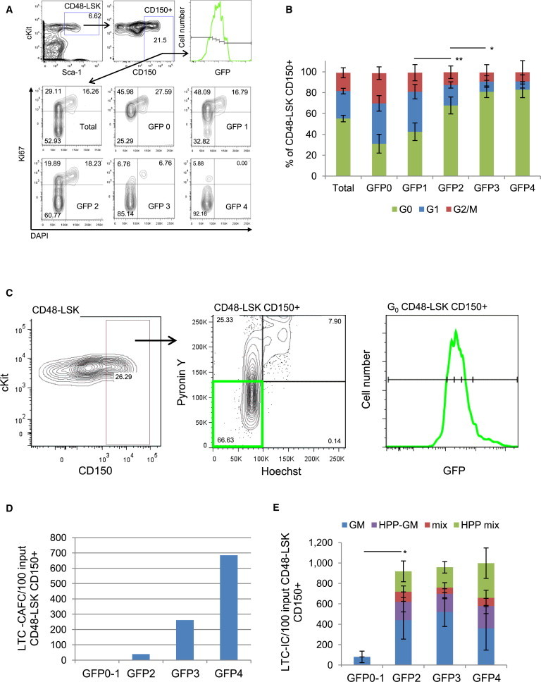 Figure 6