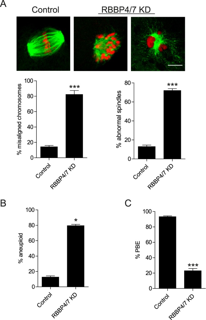 FIG. 7