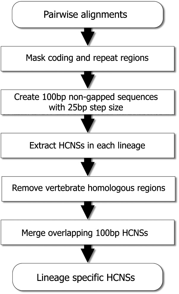 Fig. 2.—