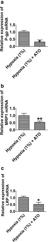 Fig. 6