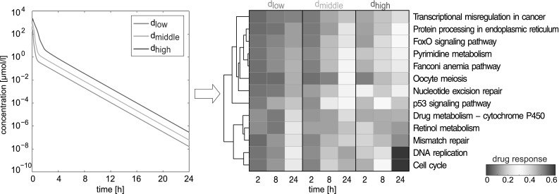 Fig. 6