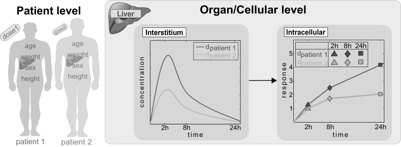 Fig. 3