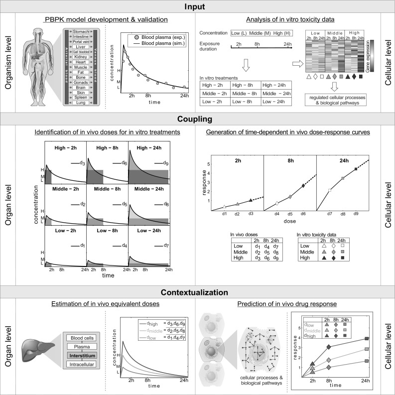 Fig. 2