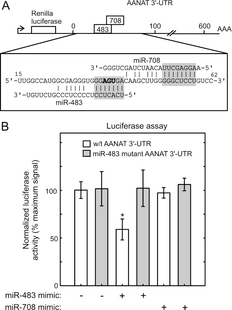 FIGURE 10.