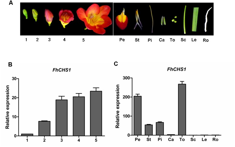 Fig 5