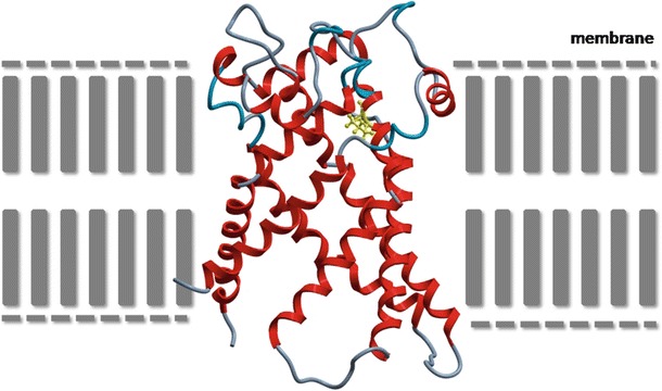 Fig. 2