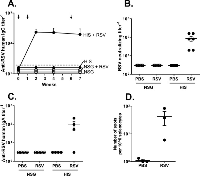 FIG 2