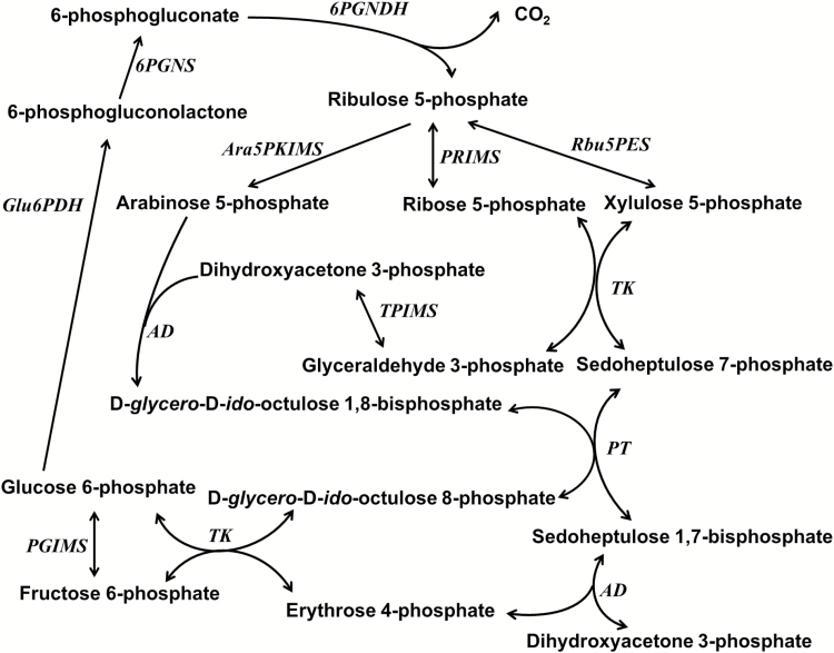 Fig. 2.