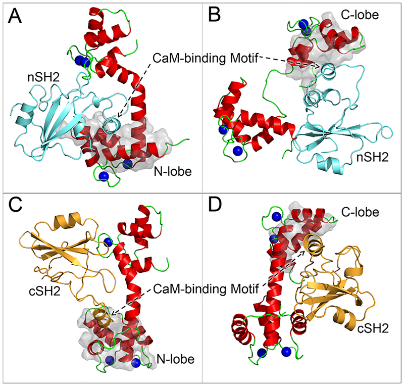 Figure 4.