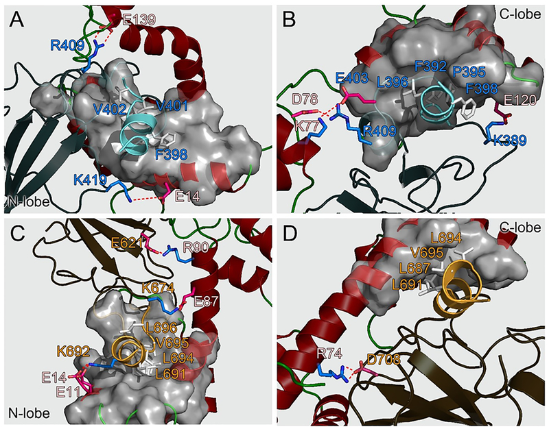 Figure 7.