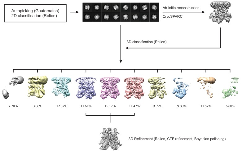 Figure 1—figure supplement 1.