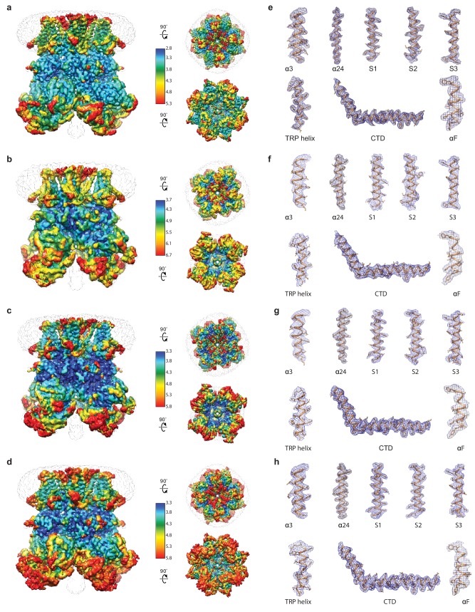 Figure 1—figure supplement 3.